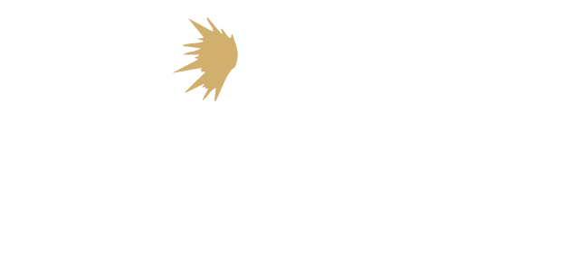 Logo TechniMETAL Blanc