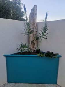 WhatsApp Image 2026-04-14 at 15.03.15