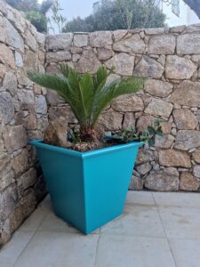 WhatsApp Image 2026-04-14 at 15.03.16